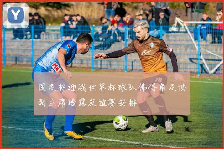 国足将迎战世界杯球队佛得角足协副主席透露友谊赛安排