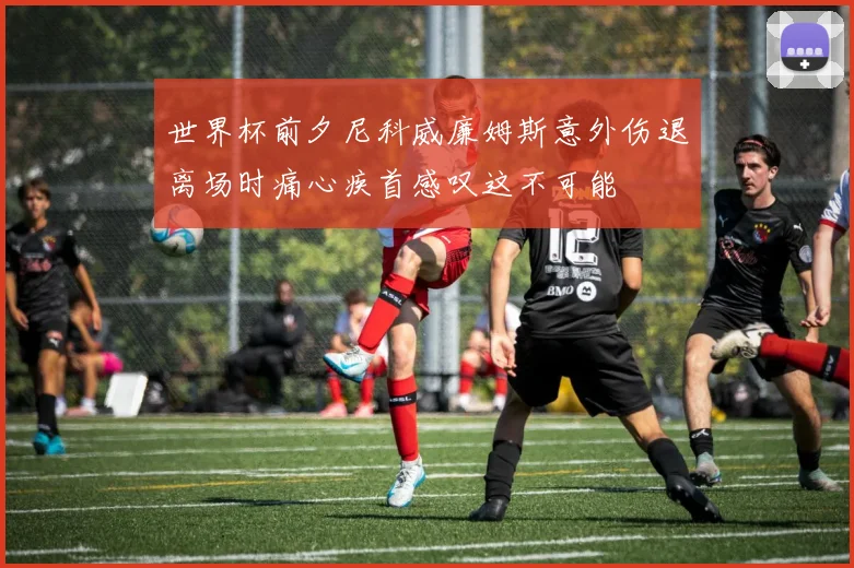 世界杯前夕尼科威廉姆斯意外伤退离场时痛心疾首感叹这不可能