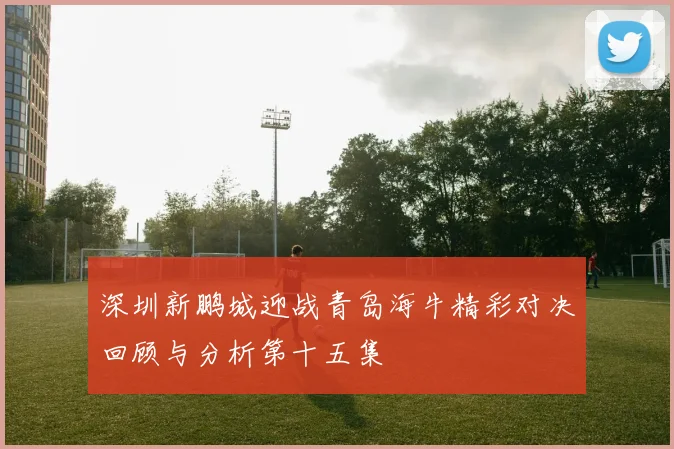 深圳新鹏城迎战青岛海牛精彩对决回顾与分析第十五集